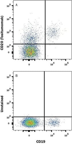 Human CD20 (Research Grade Tositumomab Biosimilar) Antibody, R D Systems:Antibodies:Primary