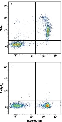 Mouse CD24 Alexa Fluor 488-conjugated Antibody, R D Systems 25 &mu;g; Alexa