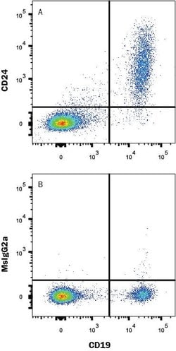 Human CD24 Antibody, R D Systems 25&mu;g:Antibodies, Monoclonal
