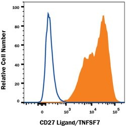 Human CD27 Ligand/TNFSF7 Antibody, R D Systems:Antibodies:Primary Antibodies