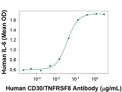 Human CD30/TNFRSF8 Antibody, R D Systems 500ug; Unlabeled:Antibodies, Monoclonal