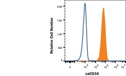Canine CD34 Alexa Fluor 488-conjugated Antibody, R D Systems 100ug; Alexa
