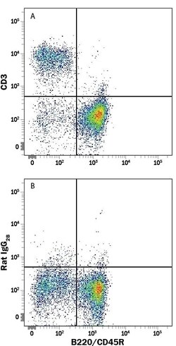 Mouse CD3 PE-conjugated Antibody, R D Systems 25 Tests | Buy Online | R&D Systems | Fisher Scientific