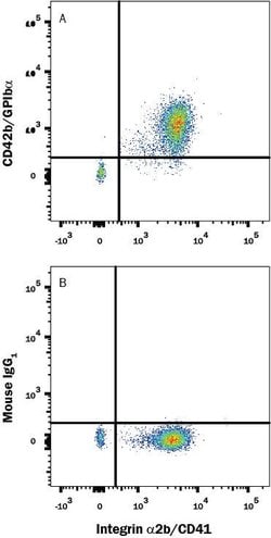 Human CD42b/GPIb alpha Alexa Fluor 594-conjugated Antibody, R D Systems