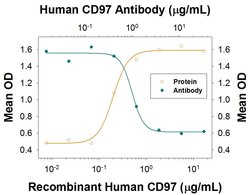 Human CD97 Antibody, R D Systems 25&mu;g:Antibodies, Monoclonal