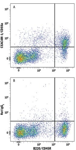 Mouse CEACAM-1/CD66a Alexa Fluor 700-conjugated Antibody, R D Systems 100