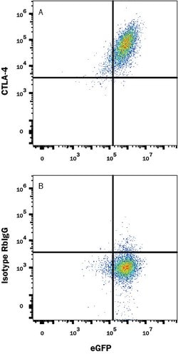 Human CTLA-4 Antibody, R D Systems 100 &mu;g; Unconjugated:Antibodies,