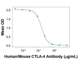 Human/Mouse CTLA-4 Antibody, R D Systems:Antibodies:Primary Antibodies