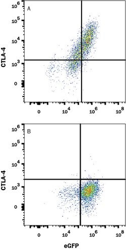 Human CTLA-4 (Research Grade Ipilimumab Biosimilar) Antibody, R D Systems