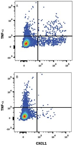 Mouse CXCL1/GRO alpha/KC/CINC-1 Antibody, R D Systems 100 &mu;g; Unconjugated:Antibodies,