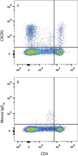 Rat CXCR3 Alexa Fluor 488-conjugated Antibody, R D Systems 100 &mu;g; Alexa