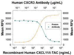 Human CXCR3 Antibody, R D Systems 25 &mu;g Unconjugated:Antibodies, Monoclonal
