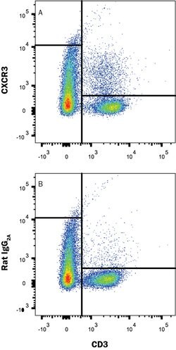 Mouse CXCR3 Antibody, R D Systems 100&mu;g:Antibodies, Monoclonal