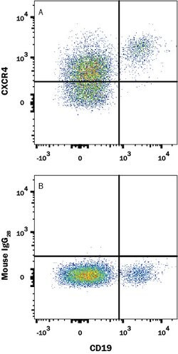 Human CXCR4 Alexa Fluor 594-conjugated Antibody, R D Systems 100ug; Alexa