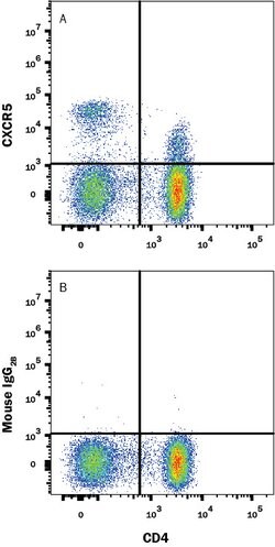Human CXCR5 APC-conjugated Antibody, R D Systems 100 Tests; APC:Antibodies,