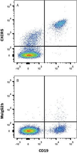 Human CXCR5 Antibody, R D Systems 100 &mu;g | Buy Online | R&D Systems | Fisher Scientific