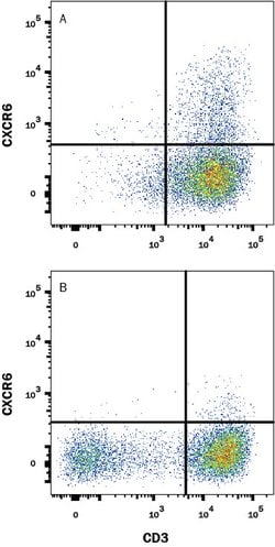 Human CXCR6 Antibody, R D Systems:Antibodies:Primary Antibodies