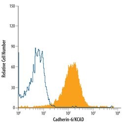 Human Cadherin-6/KCAD Alexa Fluor 700-conjugated Antibody, R D Systems