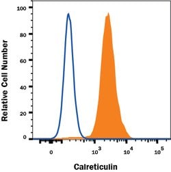 Human/Mouse/Rat Calreticulin Antibody, R D Systems 100ug; Unlabeled:Antibodies,