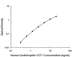 Human Cardiotrophin-1/CT-1 Antibody, R D Systems:Antibodies:Primary Antibodies