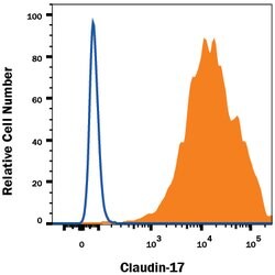 Human Claudin-17 Antibody, R D Systems 25&mu;g; Unlabeled:Antibodies, Monoclonal