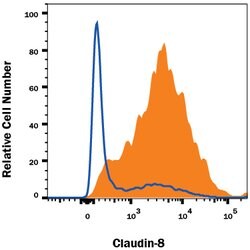 Human Claudin-8 Antibody, R D Systems 100ug; Unlabeled:Antibodies, Monoclonal