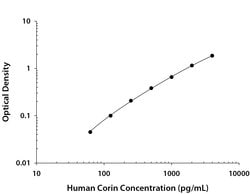 Human Corin Antibody, R D Systems:Antibodies:Primary Antibodies