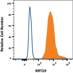 Human Cytokeratin 19 Antibody, R D Systems 100&mu;g; Unlabeled:Antibodies,