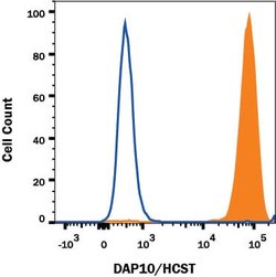 Human DAP10/HCST Antibody, R D Systems 100&mu;g:Antibodies, Monoclonal