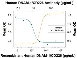 Human DNAM-1/CD226 Antibody, R D Systems:Antibodies:Primary Antibodies