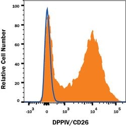 Human DPPIV/CD26 Antibody, R D Systems:Antibodies:Primary Antibodies