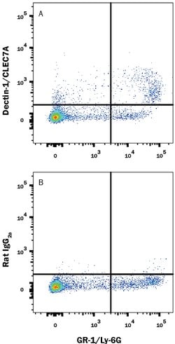 Mouse Dectin-1/CLEC7A Alexa Fluor 488-conjugated Antibody, R D Systems