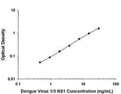 Viral Dengue Virus NS1 Antibody, R D Systems:Antibodies:Primary Antibodies