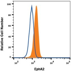 Mouse EphA2 Alexa Fluor 488-conjugated Antibody, R D Systems 100 &mu;g;