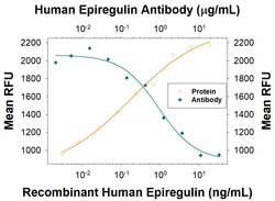 Human Epiregulin Antibody, R D Systems 25 &mu;g | Buy Online | R&D Systems | Fisher Scientific