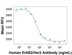 Human ErbB2/Her2 (Research Grade Trastuzumab Biosimilar) Antibody, R D