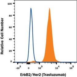 Human ErbB2/Her2 (Research Grade Trastuzumab Biosimilar) Antibody, R D