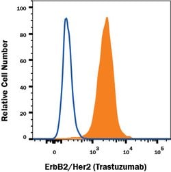 Human ErbB2/Her2 (Based on Research Grade Trastuzumab Biosimilar) Antibody,