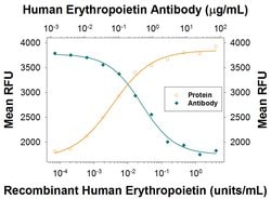 Human Erythropoietin/EPO Antibody, R D Systems:Antibodies:Primary Antibodies