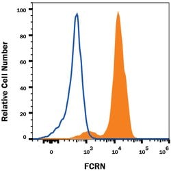 Human FCRN Alexa Fluor 647-conjugated Antibody, R D Systems 100 &mu;g;