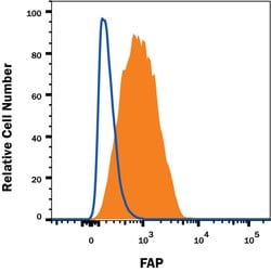 Human Fibroblast Activation Protein alpha/FAP Alexa Fluor 488-conjugated