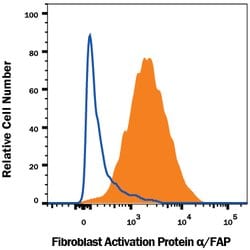 Human Fibroblast Activation Protein alpha/FAP PE-conjugated Antibody, R