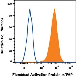 Human Fibroblast Activation Protein alpha/FAP Alexa Fluor 647-conjugated