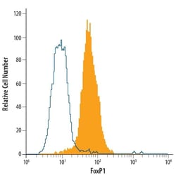 Human FoxP1 Alexa Fluor 488-conjugated Antibody, R D Systems 100 &mu;g | Buy Online | R&D Systems | Fisher Scientific