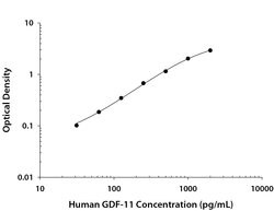 Human GDF-11/GDF-8 Antibody, R D Systems 100ug; Unlabeled:Antikörper