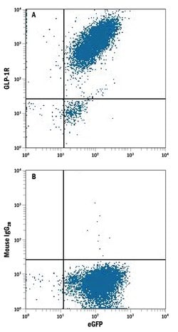 Human GLP-1R PE-conjugated Antibody, R D Systems 100 Tests; R-PE:Antibodies,