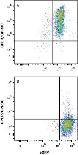 Human GPER/GPR30 Antibody, R D Systems 25&mu;g; Unlabeled:Antibodies, Polyclonal