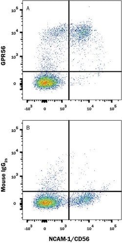 Human GPR56 Antibody, R D Systems 25 &mu;g | Buy Online | R&D Systems | Fisher Scientific