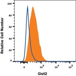 Human Glut2 Antibody, R D Systems 25&mu;g; Unlabeled:Anticuerpos