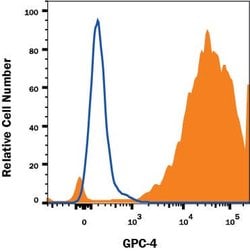 Human Glypican 4 Antibody, R D Systems 100&mu;g:Antibodies, Monoclonal